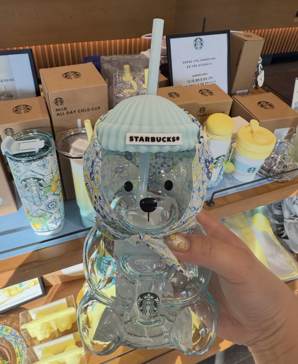 Starbucks Summer Korea Exclusive Bearista Bear Cup 🩵🧸