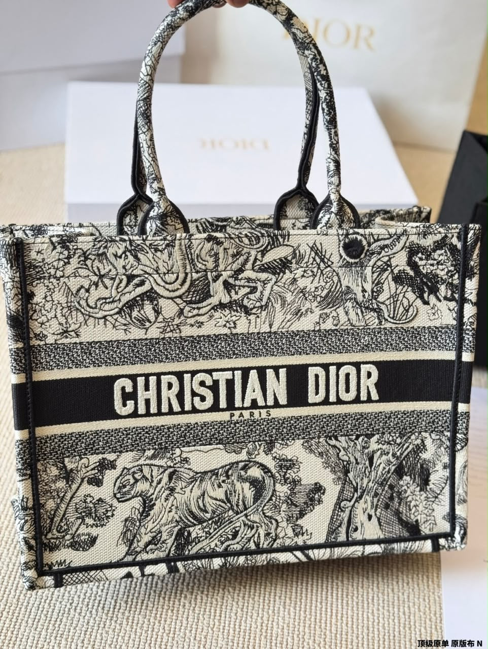 Christian Dior Book Tote Bag