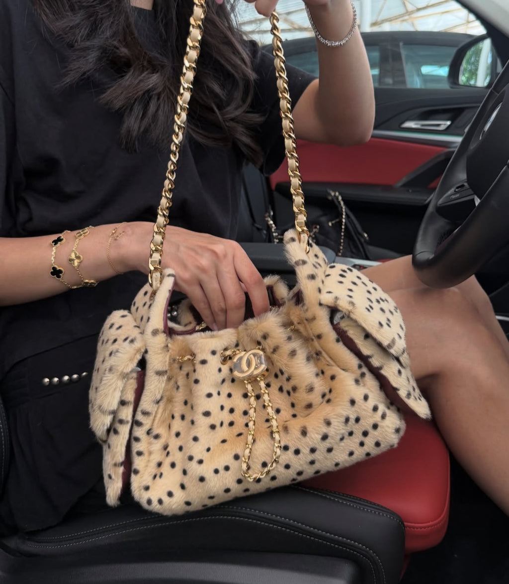 Chanèl 25 Cheetah Print Bag