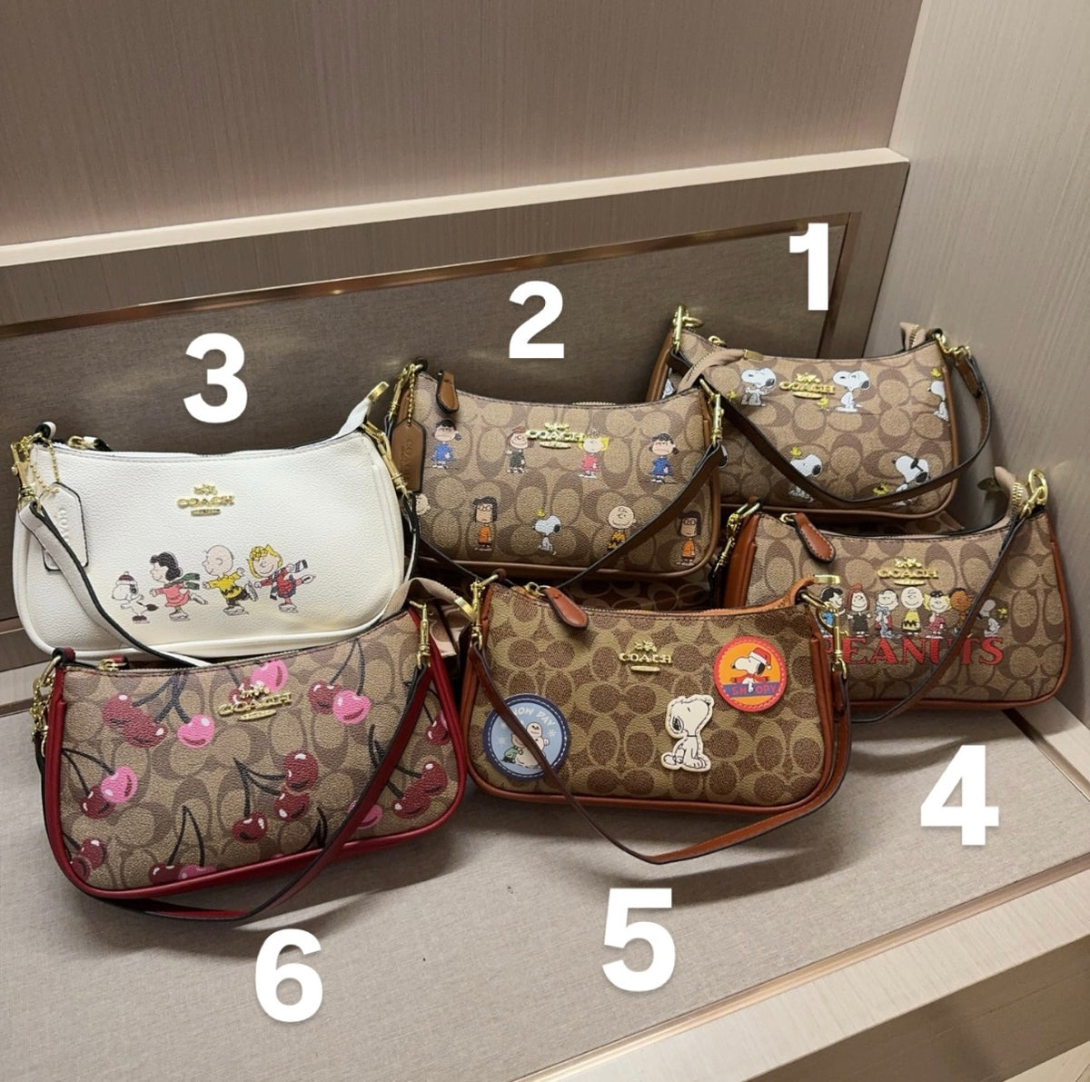 Coach Teri Bag Snoopy Edition