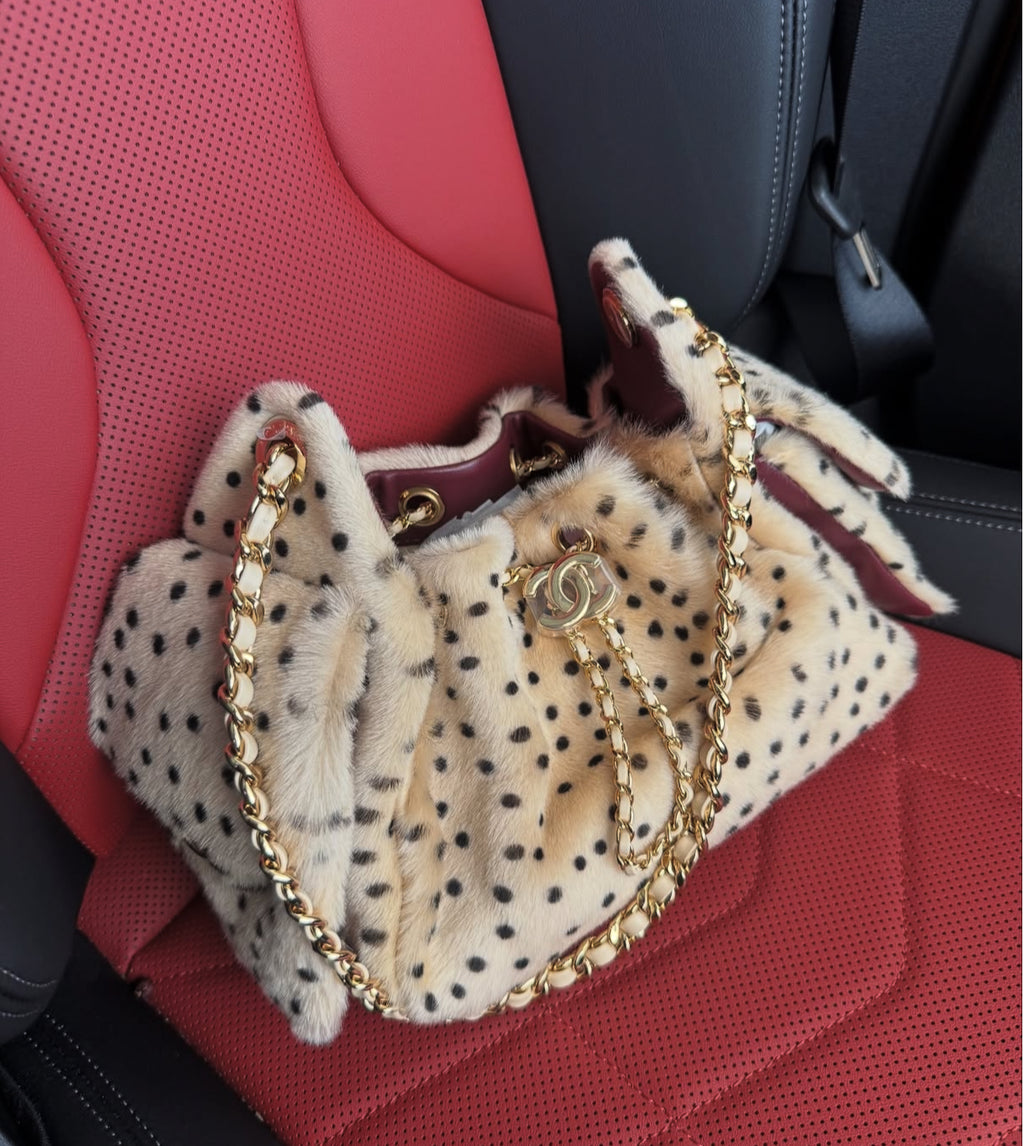 Chanèl 25 Cheetah Print Bag