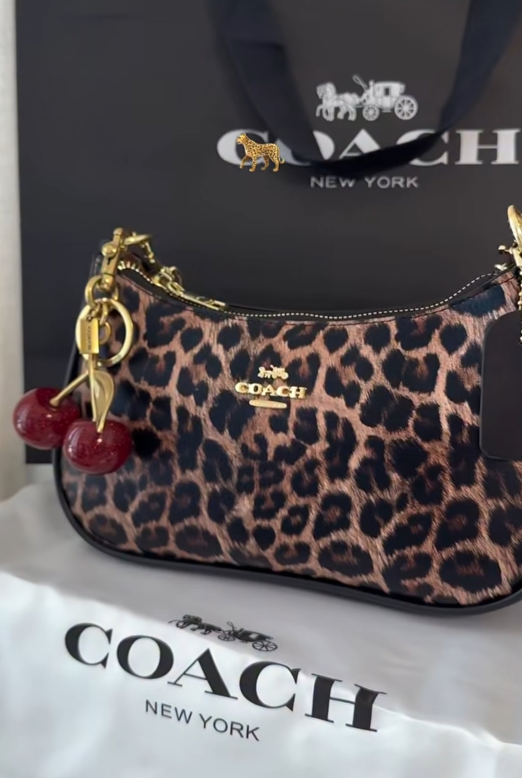 Coach Leopard Teri Bag 🤎🐆