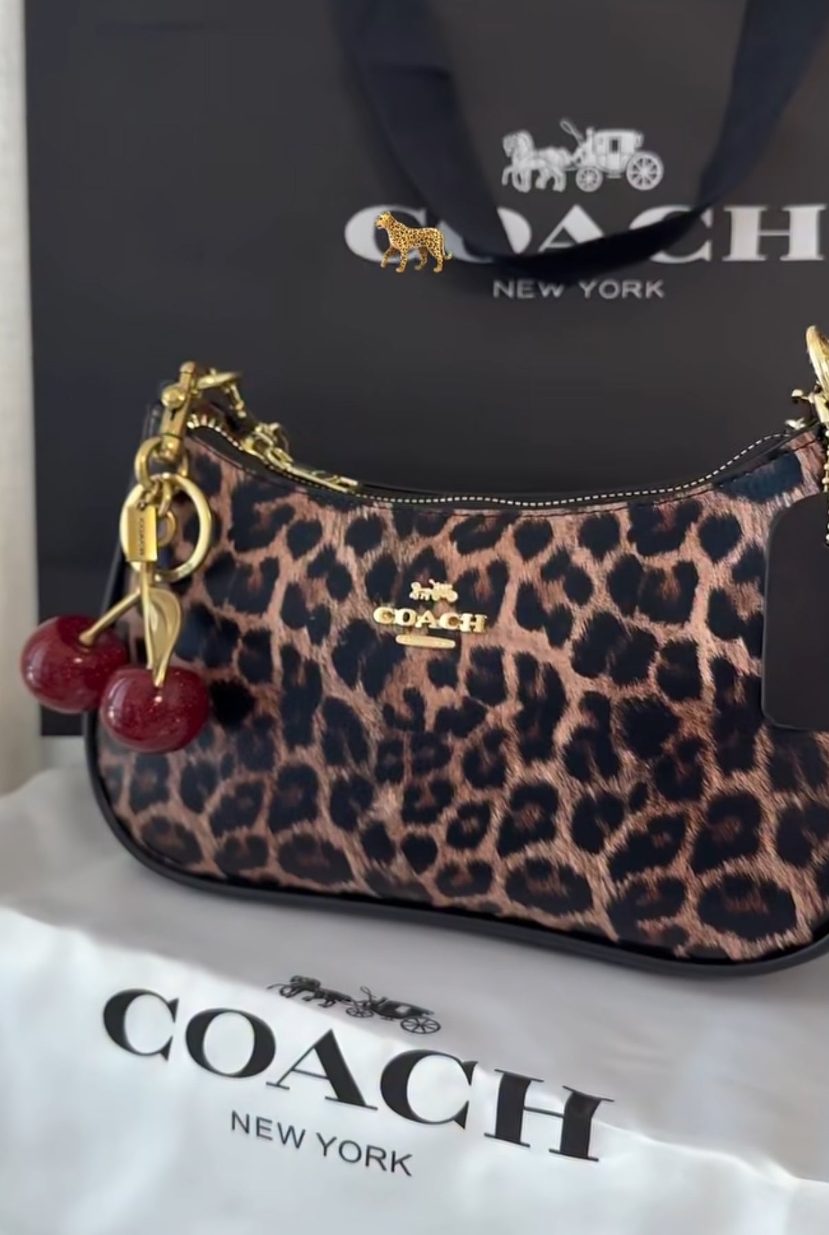 Coach Leopard Teri Bag 🤎🐆