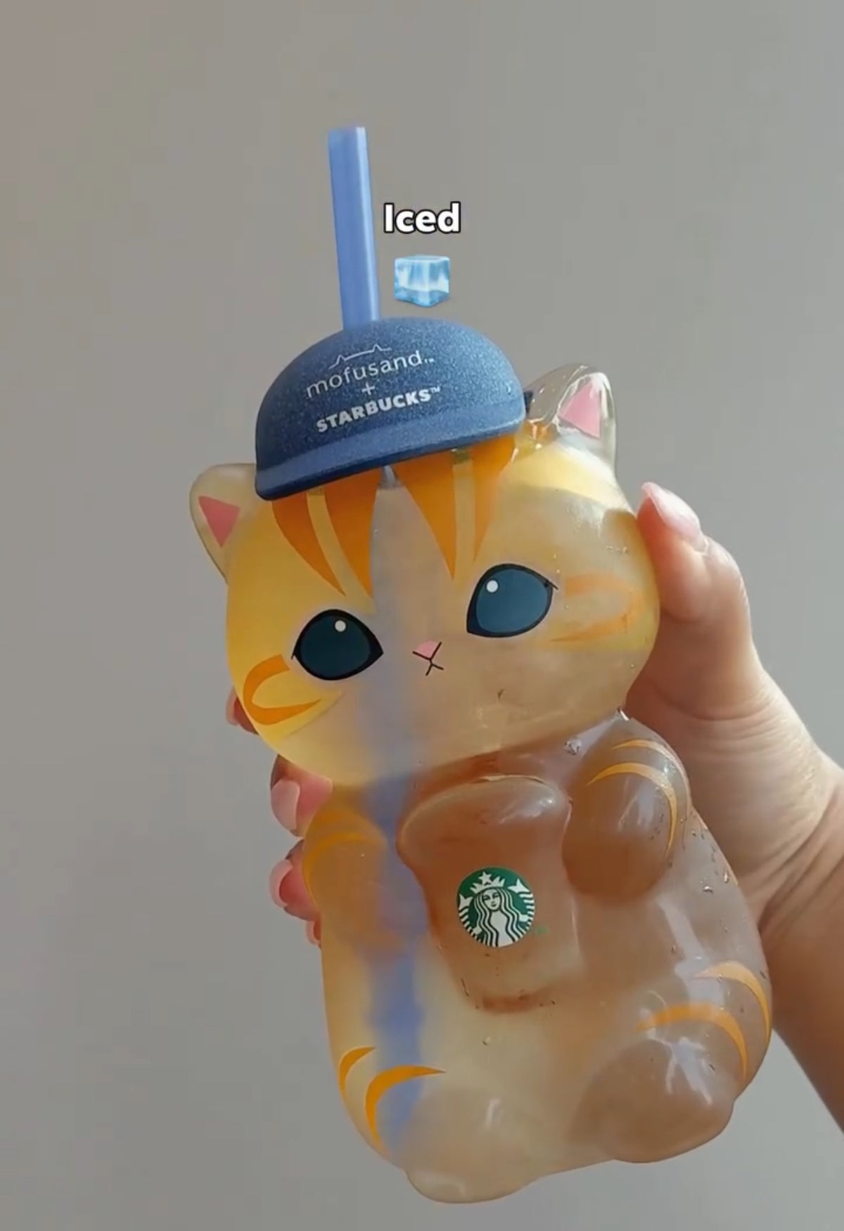 Starbucks Mofusand Cat Glass cup Singapore Edition