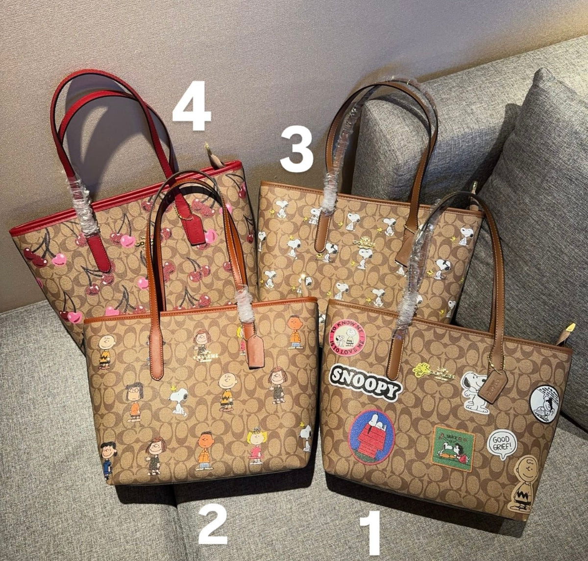 Coach Tote Bag Snoopy Edition