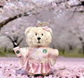 Starbucks Bear Charm China Exclusive💖🧸
